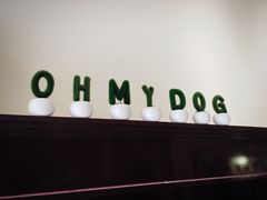 -Oh My Dog宠物沙龙(伊珊娜皮毛护理店)