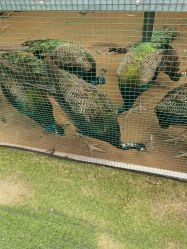 -萌宠亲子动物乐园(槐房万达店)