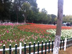 android_upload_pic-锦屏公园