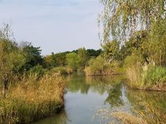 -梁鸿国家湿地公园