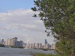 -长广溪湿地公园