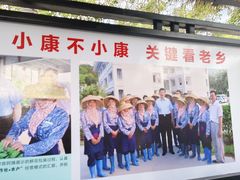-亚龙湾国际玫瑰谷
