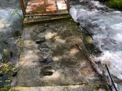 -叠溪松坪沟景区