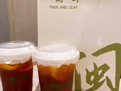 -一树一叶·福建茶档(石鼓路店)