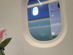 -法兰度航空主题餐厅(河源店)