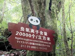 -西岭雪山大飞水景区
