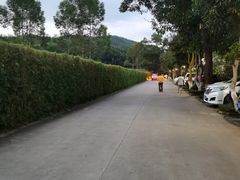 -林丰温泉度假山庄