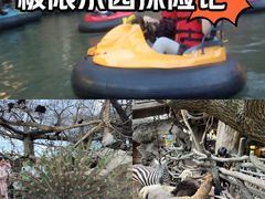 -长鹿旅游休博园