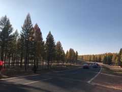 -塞罕坝国家级自然保护区