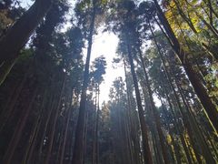 -山王坪喀斯特国家生态公园
