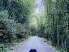 -天目湖涵田度假村