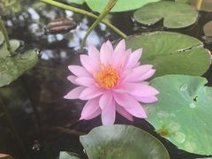 -慈恩寺