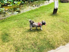 -滆湖低碳生态公园