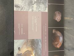 -北京周口店北京人遗址博物馆