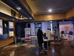 -博纳国际影城IMAX(中央大道店)