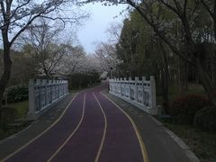 -尚贤河湿地