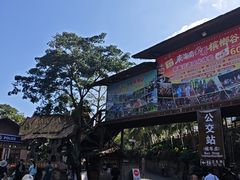 -海南槟榔谷黎苗文化旅游区