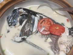 -全乐鱼馆·淳牌有机鱼直营店