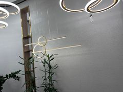 -张士灯具城(家居优选店)