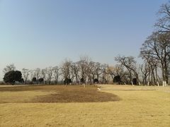 -汉长安城未央宫国家考古遗址公园