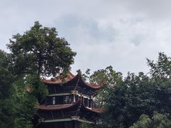 -洞子口张老二凉粉(文殊院店)