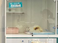 -全心全意动物诊疗中心医院(北苑店)