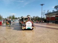 -武清南湖绿博园