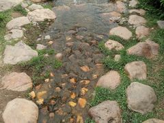-东莞植物园