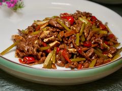 -丁老爷子苏香圆