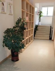 -Dr.林醫生产后修复·配方产康店(南京大厂店)