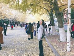 -辽宁大学(崇山校区)
