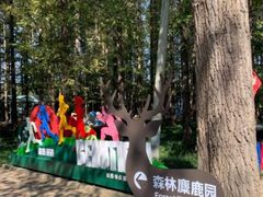 -渡海小渔村.老辈日照菜