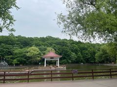 -吉林市朱雀山国家森林公园