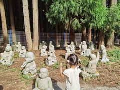 -武陵山森林公园
