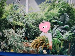 -WPlus明星肖像亲子全家福摄影