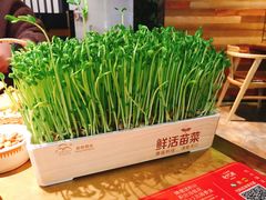 -左庭右院鲜牛肉火锅(南通CBD大有境店)