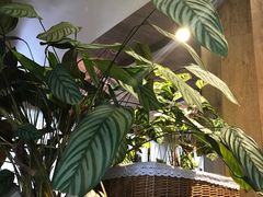 -春暖花开(西溪店)