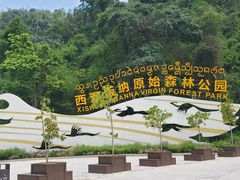 -西双版纳原始森林公园