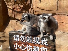 -北京野生动物园