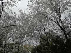 -西湖天地