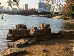 -天鹅湖体育公园