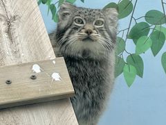 -青藏高原野生动物园