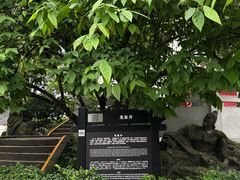 -泸州老窖景区