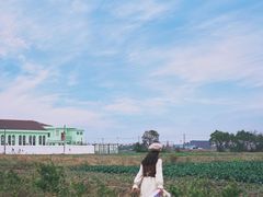 -温州龙湾国际机场