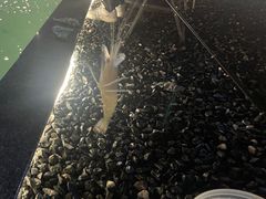 -DGE季风钓虾营地·团建·聚会