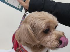 -美联众合动物医院·24h京西诊疗中心
