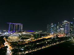 -新加坡瑞士史丹福酒店