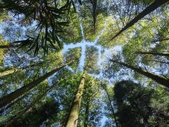 -山王坪喀斯特国家生态公园