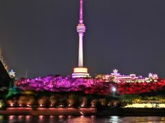 -武汉两江游览·夜游长江(汉口粤汉码头)