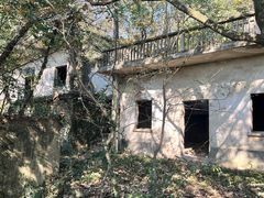 -上海佘山国家森林公园天马山园